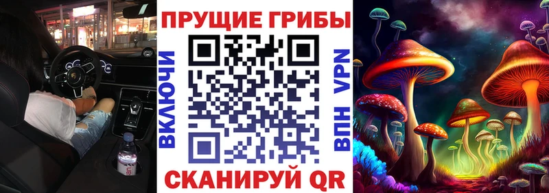 Купить закладки Армянск Псилоцибиновые грибы Cubensis